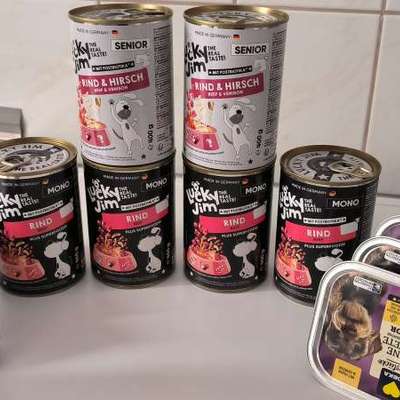 Hundefutter-Beitrag-Bild