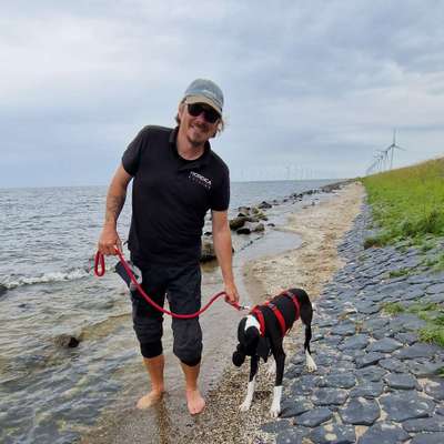 Hundetreffen-Einfach so. Ein bißchen Gassirunde, ein bißchen Quatschen. So haben Mensch und Tier etwas davon.-Bild