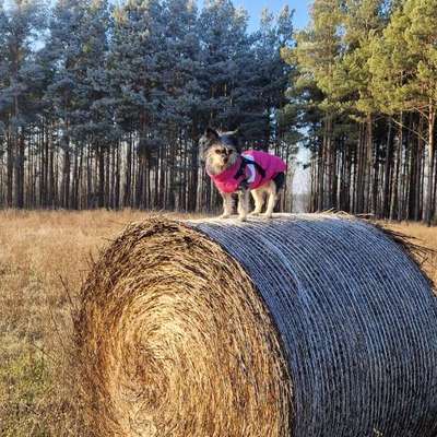 In welchem bundesland lebt ihr-Beitrag-Bild