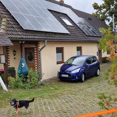 "Wege zur Freundschaft" (Ulli Reichmann)-Beitrag-Bild