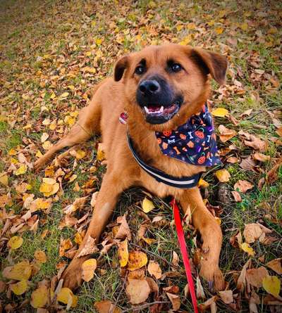 Fotochallenge Nr. 52 „Spring!“-Beitrag-Bild