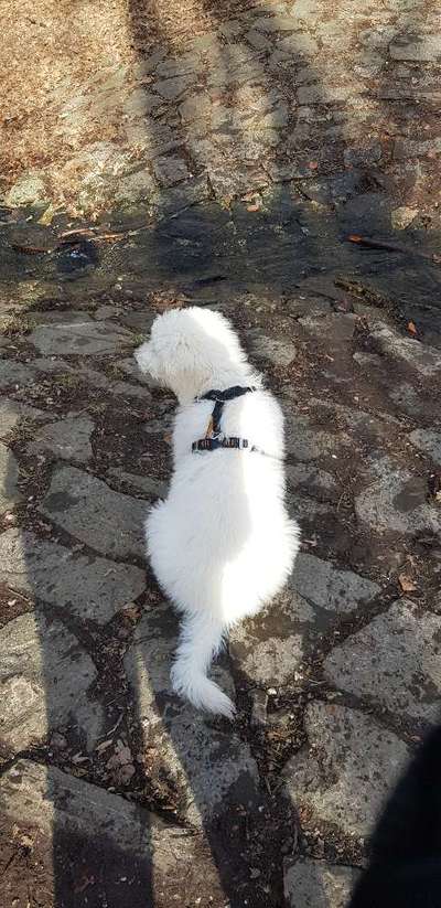 Ratespaß geht weiter-Beitrag-Bild