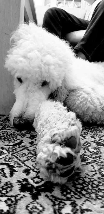 Foto-Challenge 76: Foto in Schwarz-Weiss-Beitrag-Bild