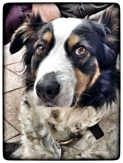 Photoshop und Co.-Beitrag-Bild