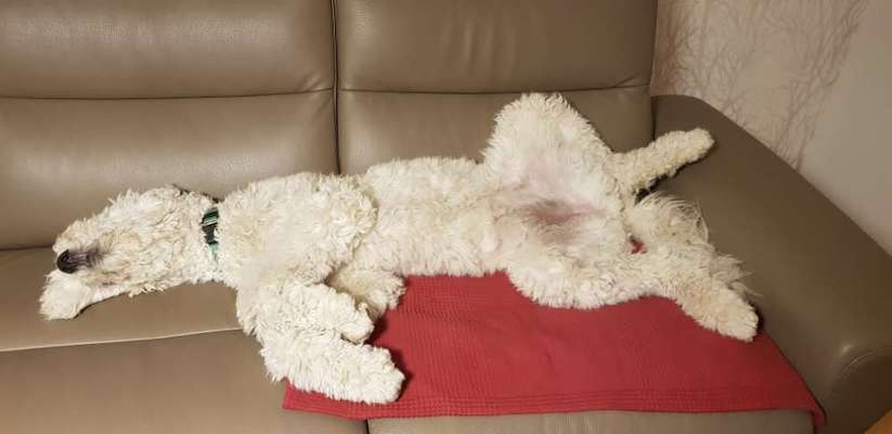 Fotochallenge Nr.65-Beitrag-Bild