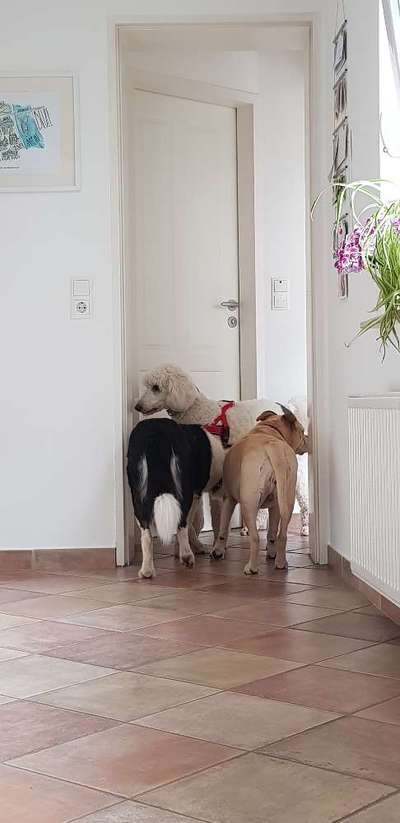 Handy-Foto-Challange Nr. 8-Beitrag-Bild