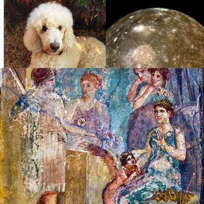 Wie heißt dein Hund?-Beitrag-Bild