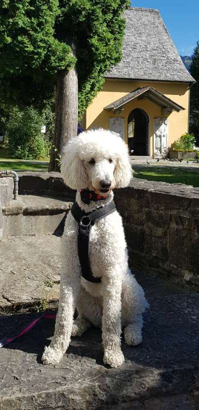 Ist das ein...?-Beitrag-Bild