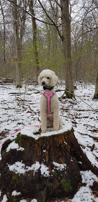 Theos Fotochallenge Nr. 3-Beitrag-Bild