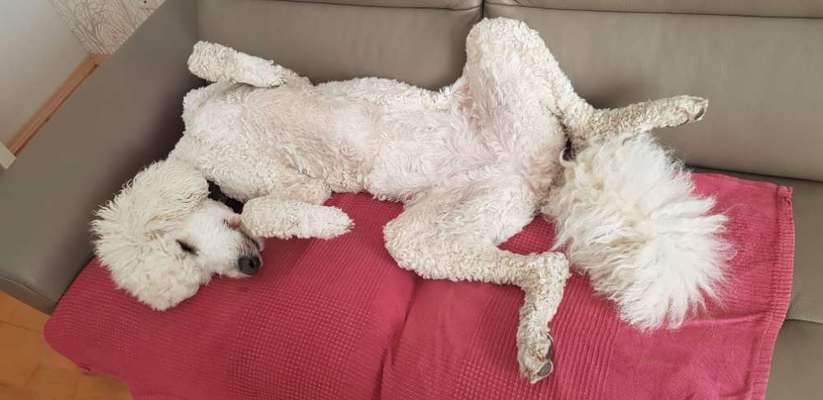 FOTO-Challenge  NR. 91: Die pure Entspannung-Beitrag-Bild