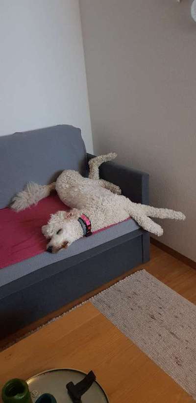 Die unbequemsten und lustigsten Schlafpositionen-Beitrag-Bild