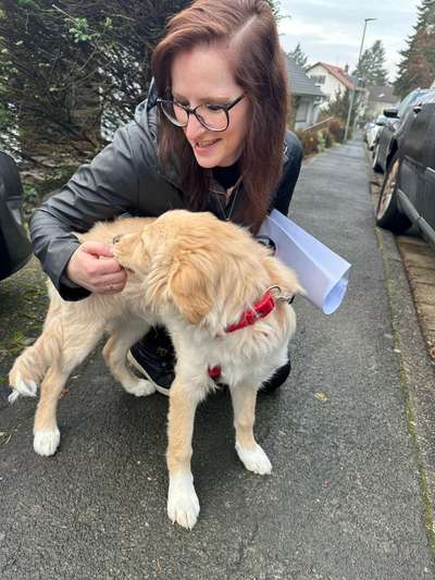 aktuelles Foto Gruppe Dogs in Köln-Ost: Holweide, Dünnwald, Höhenhaus, Dellbrück und Umgebung