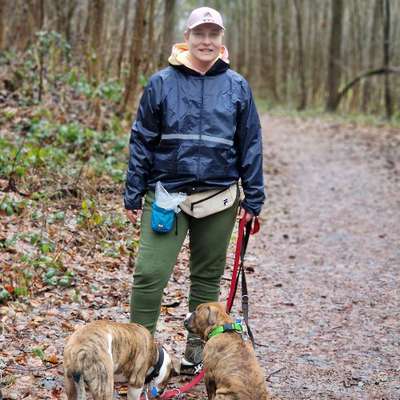 Hundetreffen-Spielfreunde-Profilbild