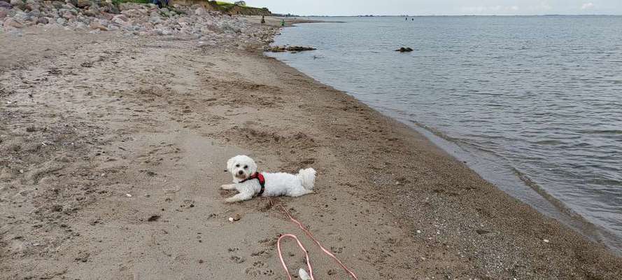 Fotochallenge 37- Sommerfeeling-Beitrag-Bild