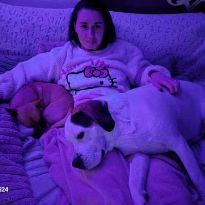 Wie kann man den Hunden im Ausland helfen ?  Stichwort Adoption !-Beitrag-Bild