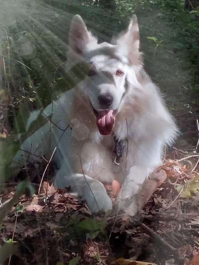 Zeigt eure Portraits-Beitrag-Bild