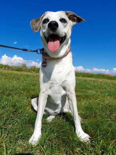 Lieblings Fotos-Beitrag-Bild