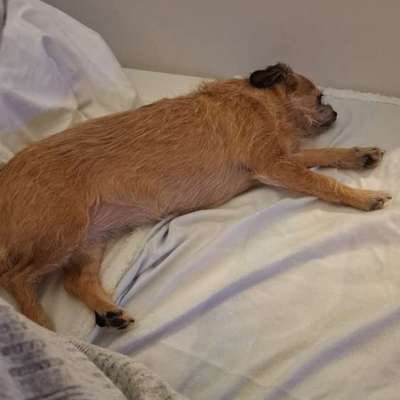 Wie habt ihr den Silvesterabend verbracht?-Beitrag-Bild