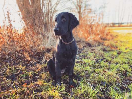 Moviestar-Pics!-Beitrag-Bild