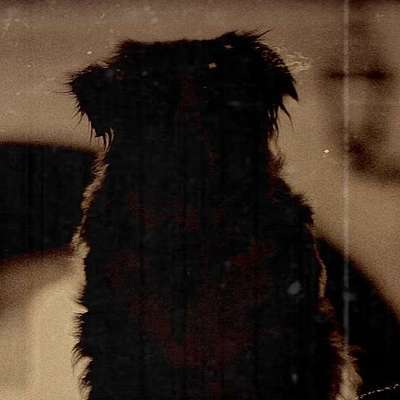 𝕵ö𝖗𝖌's Profilbild