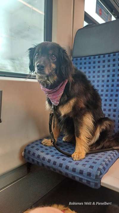 Was hat euch heute genervt?-Beitrag-Bild