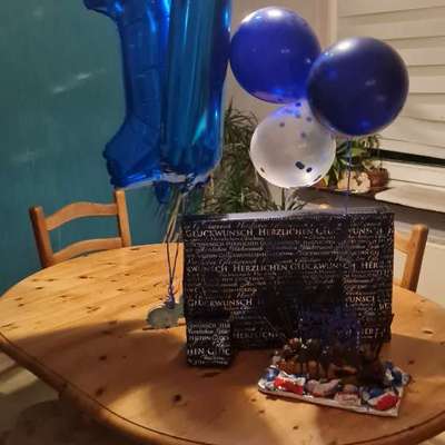 TierschutzhundeStammtisch🐕-Beitrag-Bild