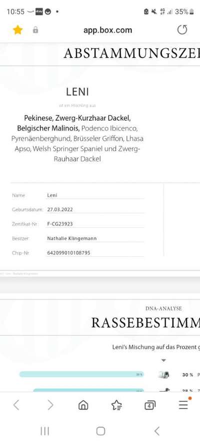 TierschutzhundeStammtisch🐕-Beitrag-Bild