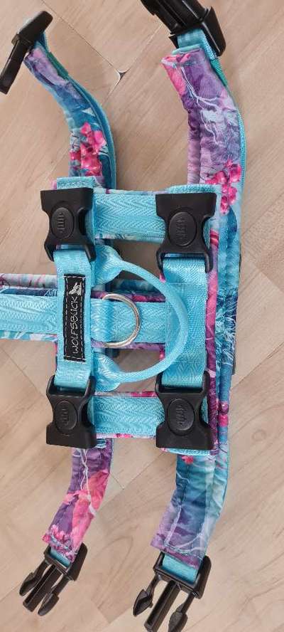 TierschutzhundeStammtisch🐕-Beitrag-Bild