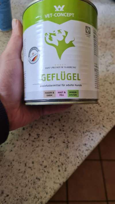 TierschutzhundeStammtisch🐕-Beitrag-Bild