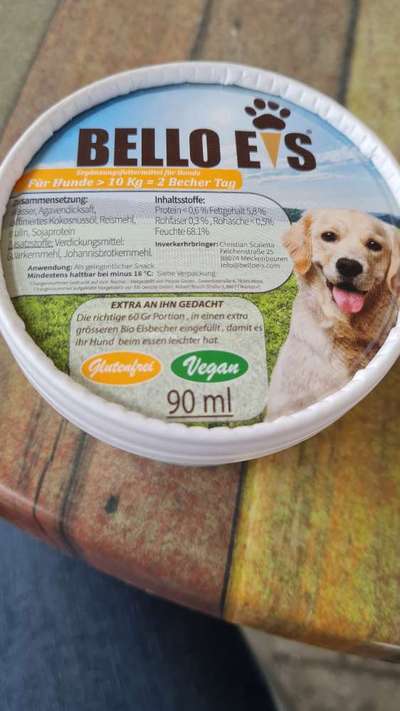 TierschutzhundeStammtisch🐕-Beitrag-Bild