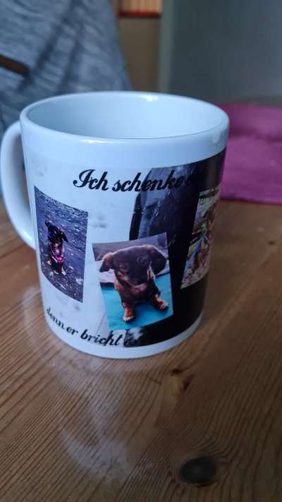 TierschutzhundeStammtisch🐕-Beitrag-Bild