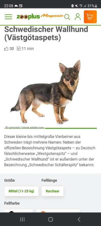 TierschutzhundeStammtisch🐕-Beitrag-Bild