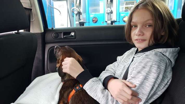 TierschutzhundeStammtisch🐕-Beitrag-Bild