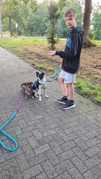 TierschutzhundeStammtisch🐕-Beitrag-Bild