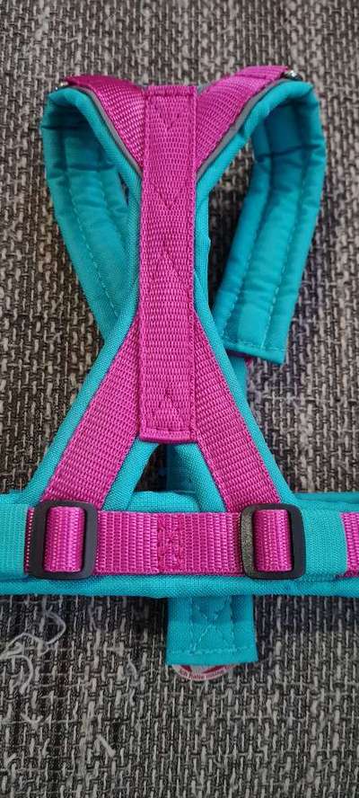 TierschutzhundeStammtisch🐕-Beitrag-Bild