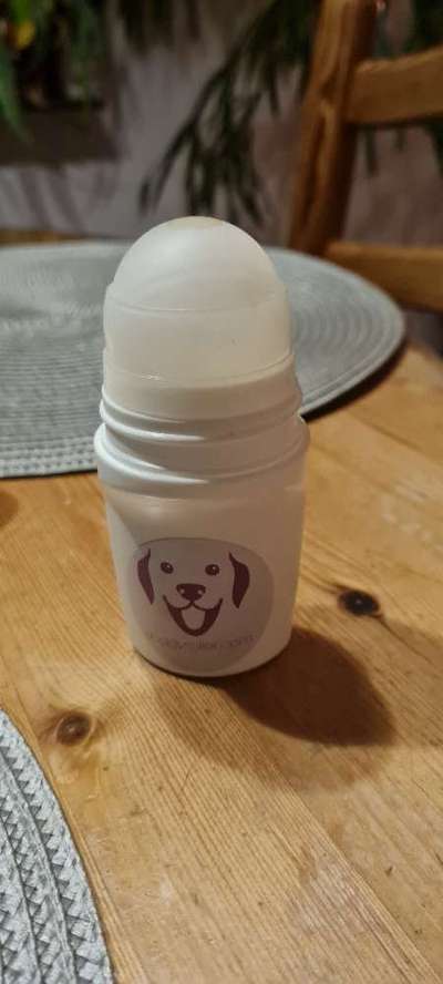 TierschutzhundeStammtisch🐕-Beitrag-Bild