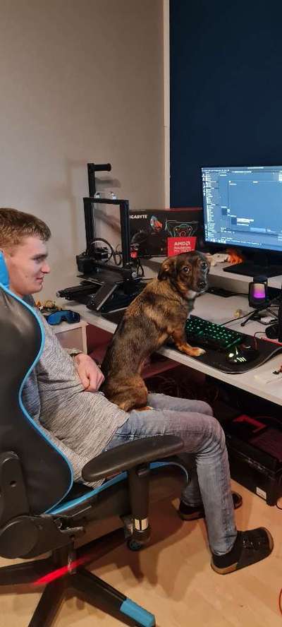 TierschutzhundeStammtisch🐕-Beitrag-Bild