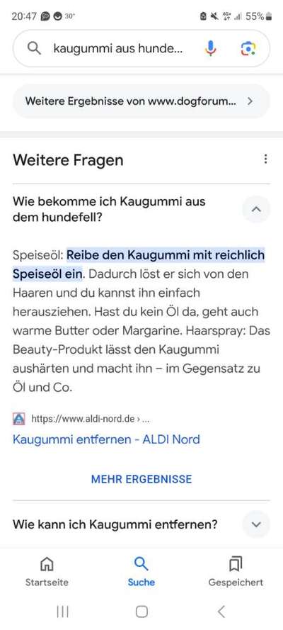 TierschutzhundeStammtisch🐕-Beitrag-Bild