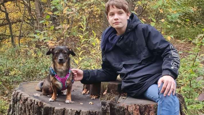 TierschutzhundeStammtisch🐕-Beitrag-Bild