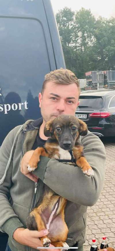 TierschutzhundeStammtisch🐕-Beitrag-Bild