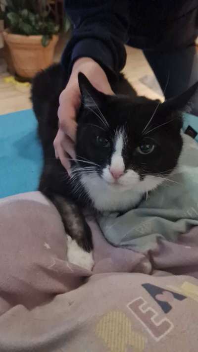 TierschutzhundeStammtisch🐕-Beitrag-Bild