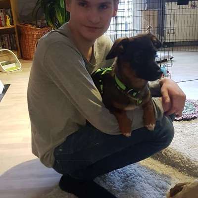 Gesundheitsförderung durch den Hund-Beitrag-Bild