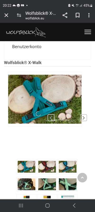 TierschutzhundeStammtisch🐕-Beitrag-Bild