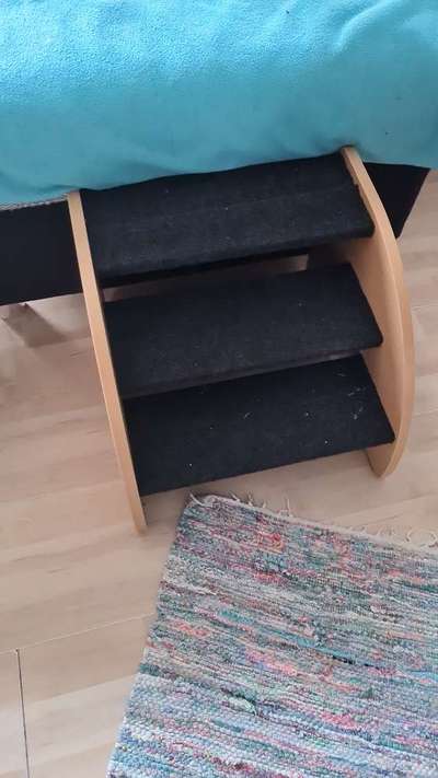 TierschutzhundeStammtisch🐕-Beitrag-Bild