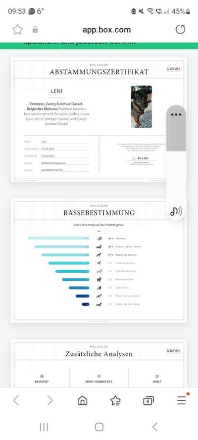 TierschutzhundeStammtisch🐕-Beitrag-Bild