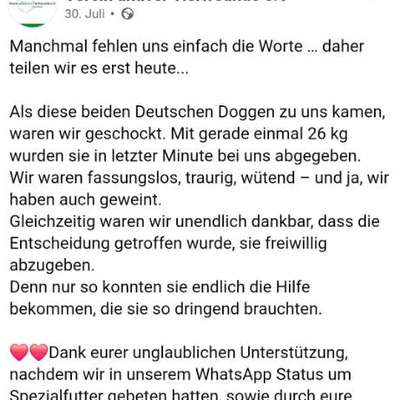 Was haben wir aus dem Hund gemacht?-Beitrag-Bild