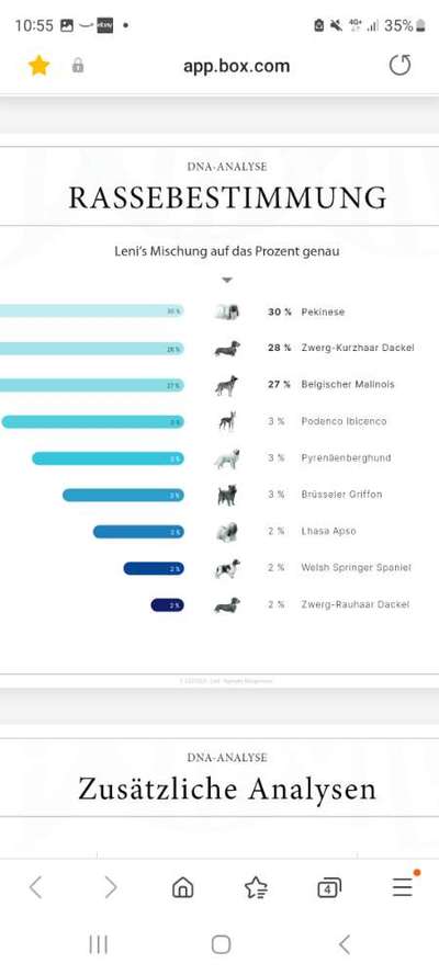 TierschutzhundeStammtisch🐕-Beitrag-Bild