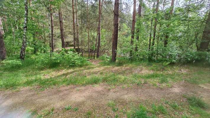 TierschutzhundeStammtisch🐕-Beitrag-Bild