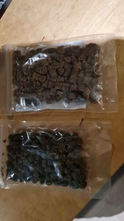 TierschutzhundeStammtisch🐕-Beitrag-Bild