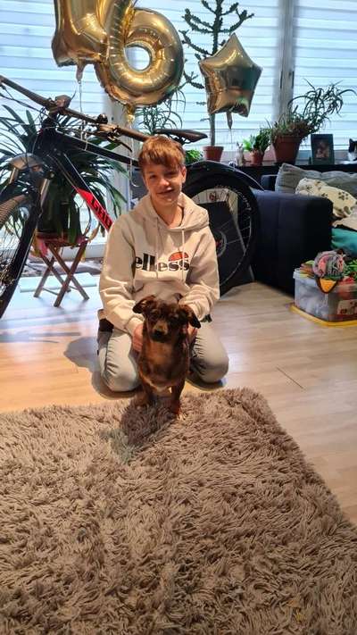 TierschutzhundeStammtisch🐕-Beitrag-Bild